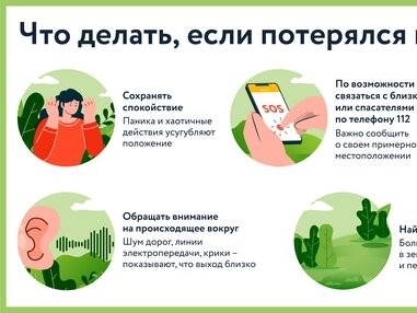 Поход в лес.